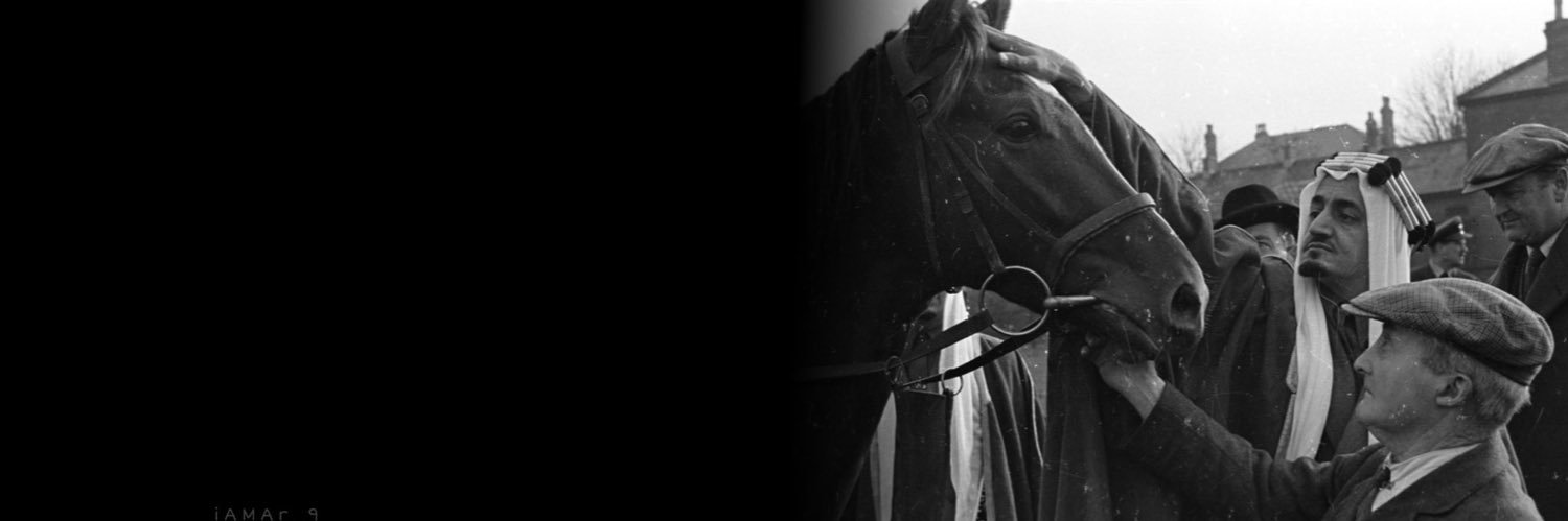DLOOOI's profile banner image