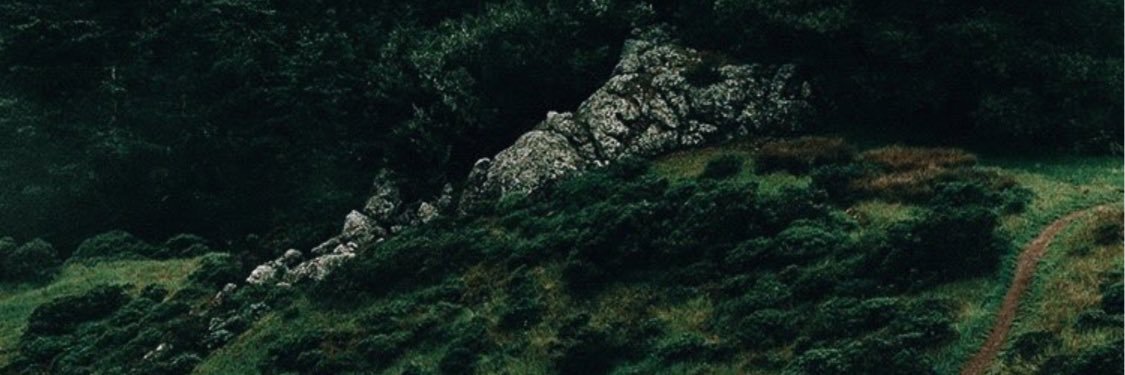 azzafalqi_'s profile banner image