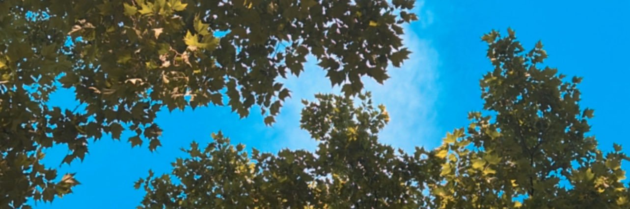LorianeHdnt's profile banner image