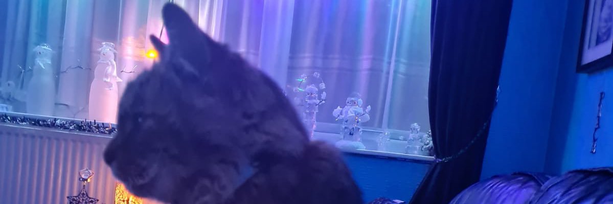 whatsername_ab's profile banner image