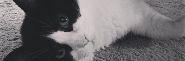 _looggiee's profile banner image