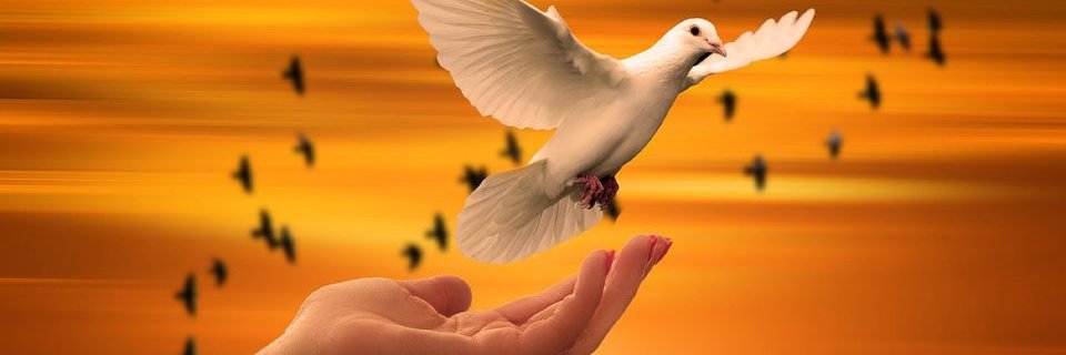 111111_abdallah's profile banner image