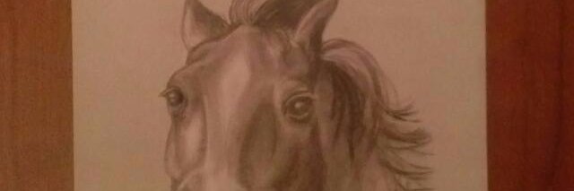 v_manduca's profile banner image