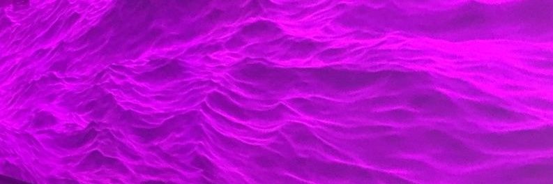 darja_stebeneva's profile banner image