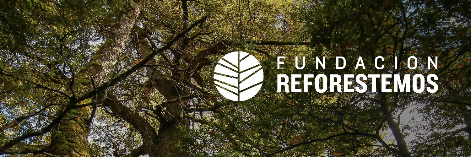 Fundación Reforestemos banner
