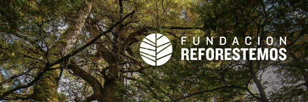 Reforestemos_ Profile Banner