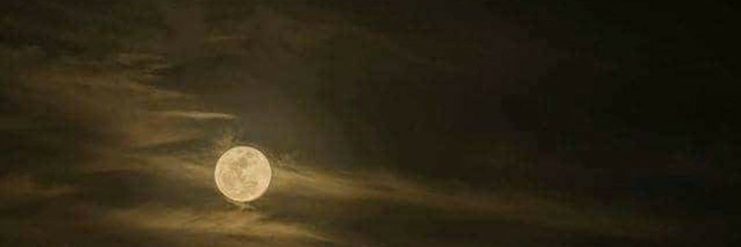 eduacosta1381's profile banner image