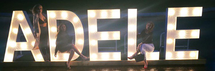 Holly banner
