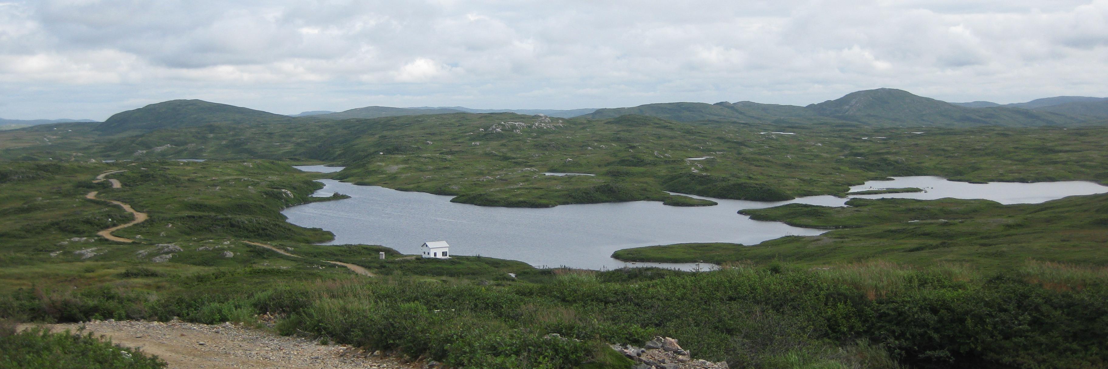 Benton Resources banner
