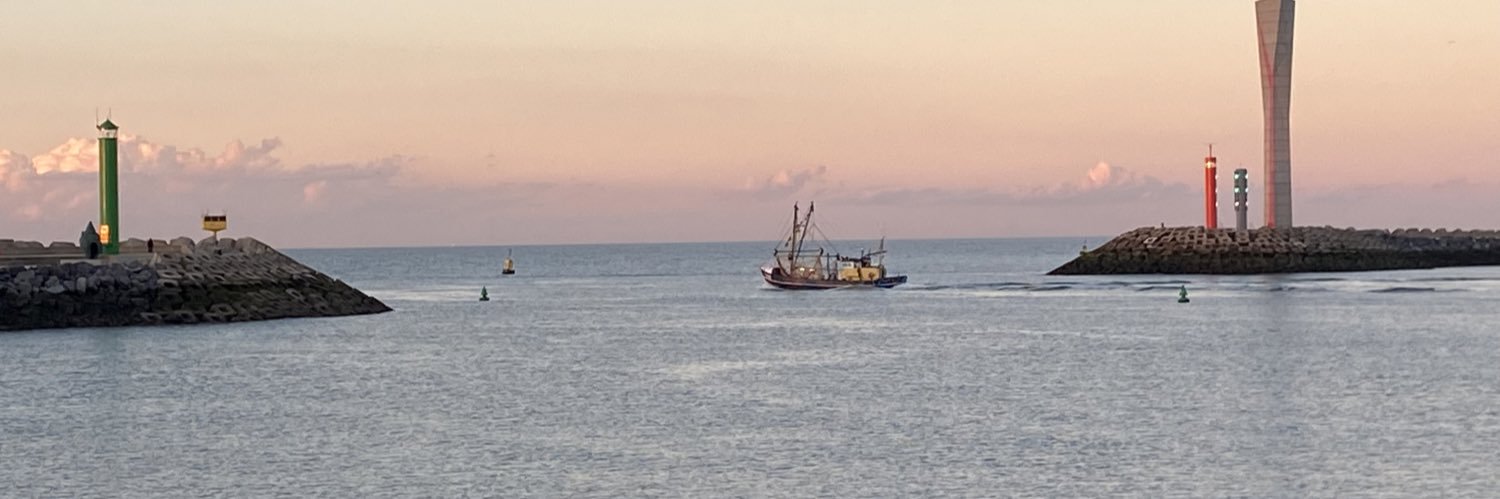 Hensen's Node banner