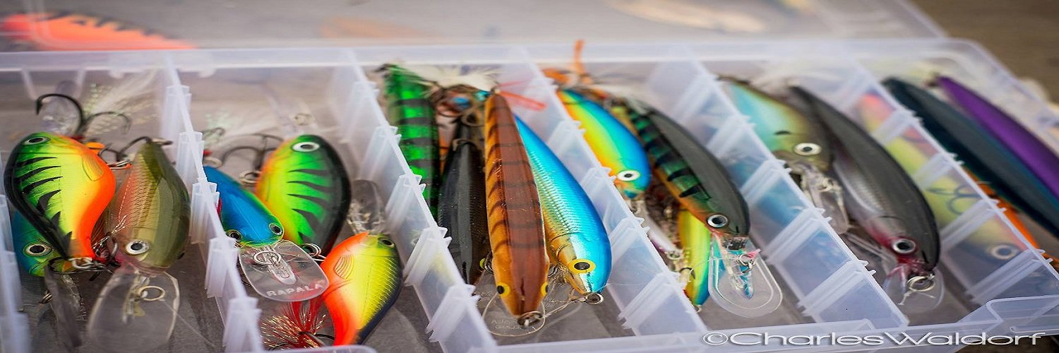 Reel_Fishn's profile banner image