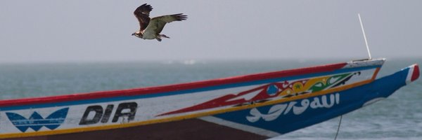 timmackrill Profile Banner