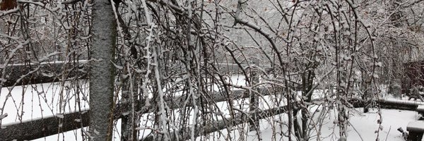 emmcard Profile Banner