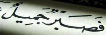 ro118668's profile banner image