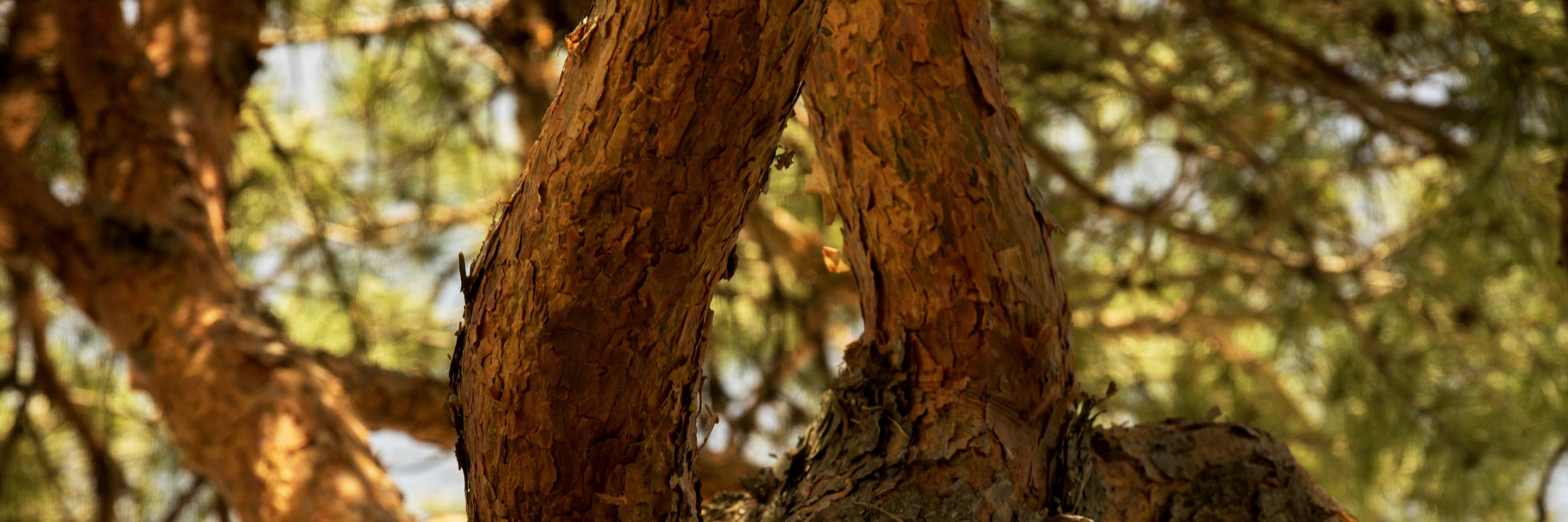 alexenman's profile banner image