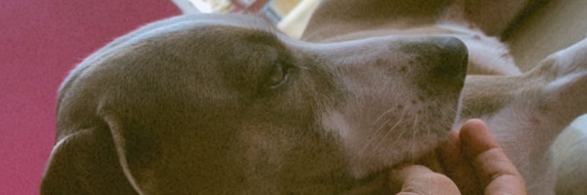 StefanyMirandaD's profile banner image