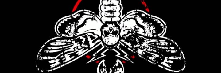 nschrgr's profile banner image