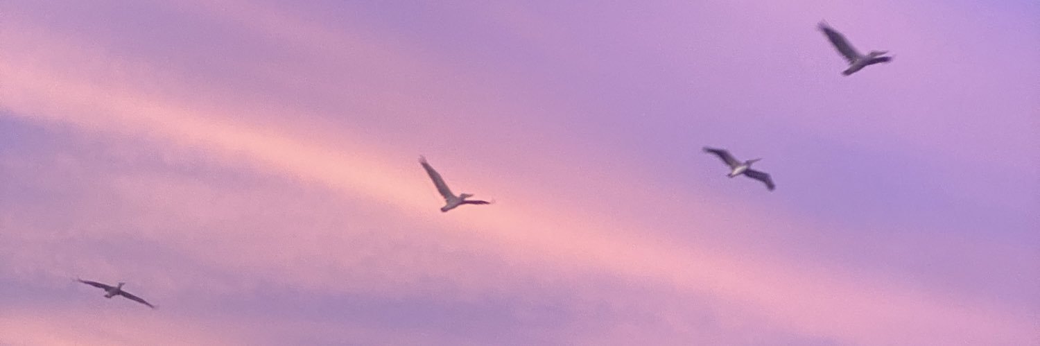 bethinabarbour's profile banner image