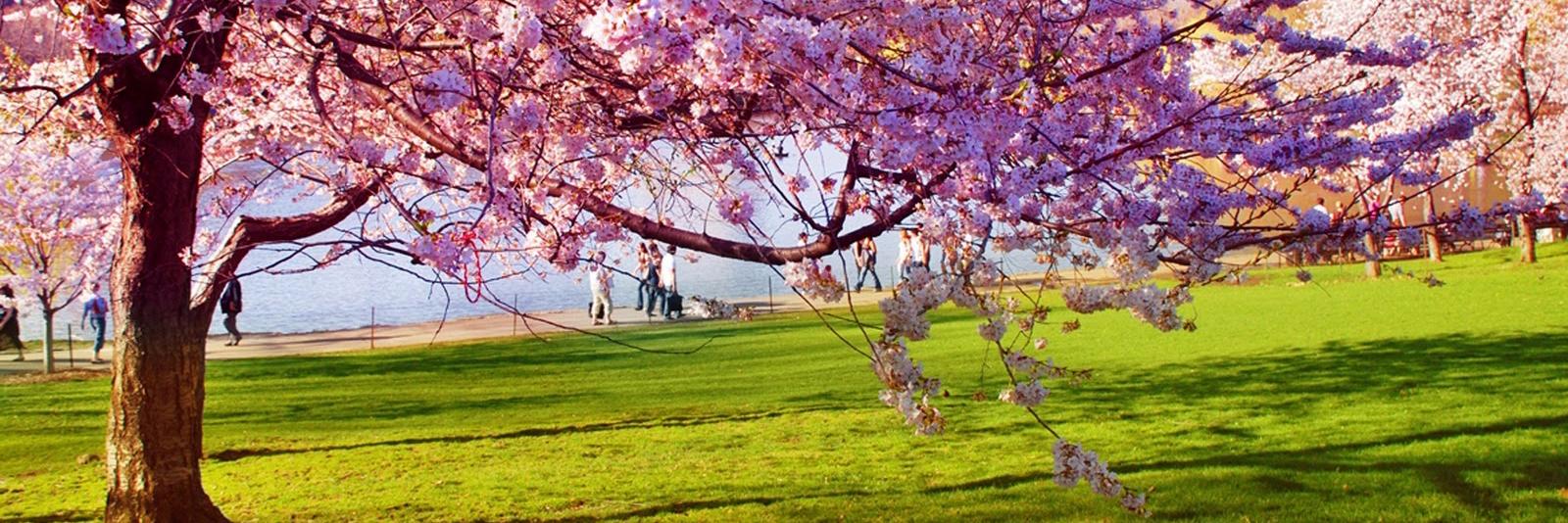 LesleyAInglis's profile banner image