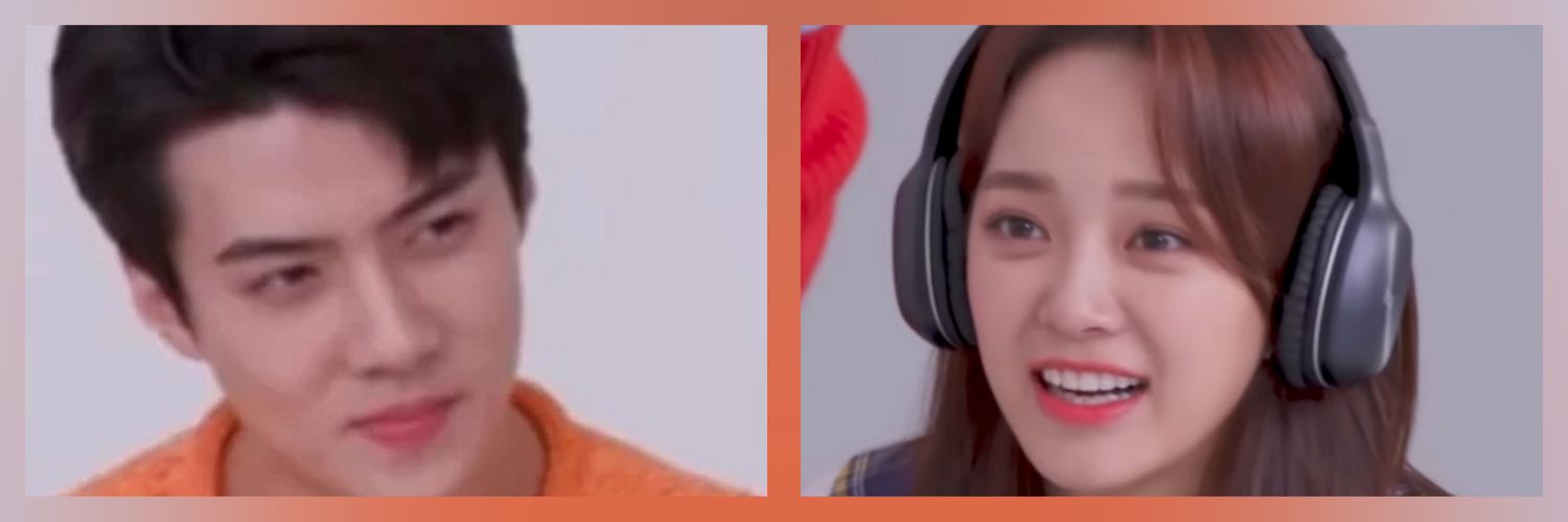 sese_chronicles's profile banner image