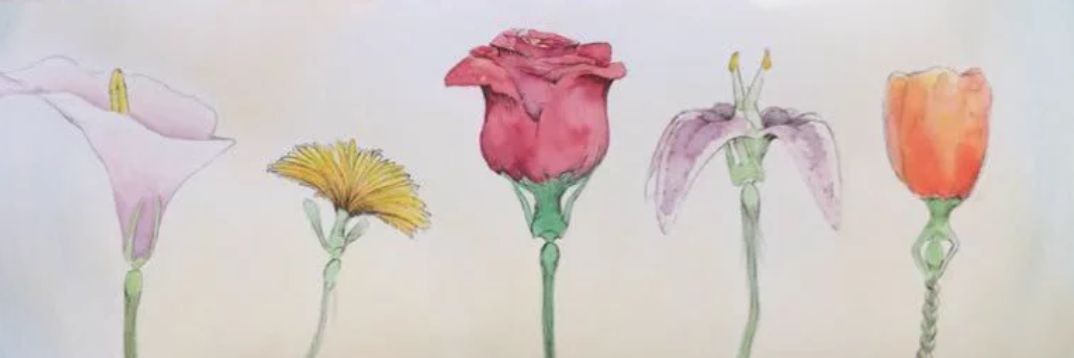 EmilyTaylor1985's profile banner image