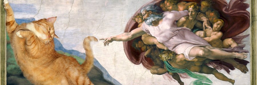 danisiscati's profile banner image