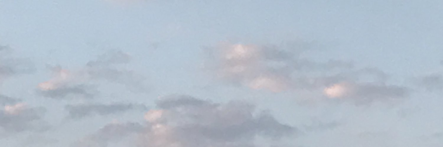 WMValeriee's profile banner image