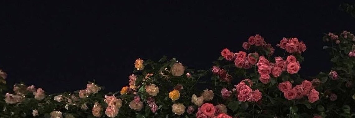 EmtenanAlturki's profile banner image