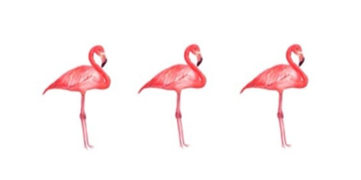 Criisarv's profile banner image