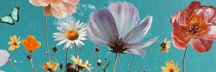 canoantonella1's profile banner image