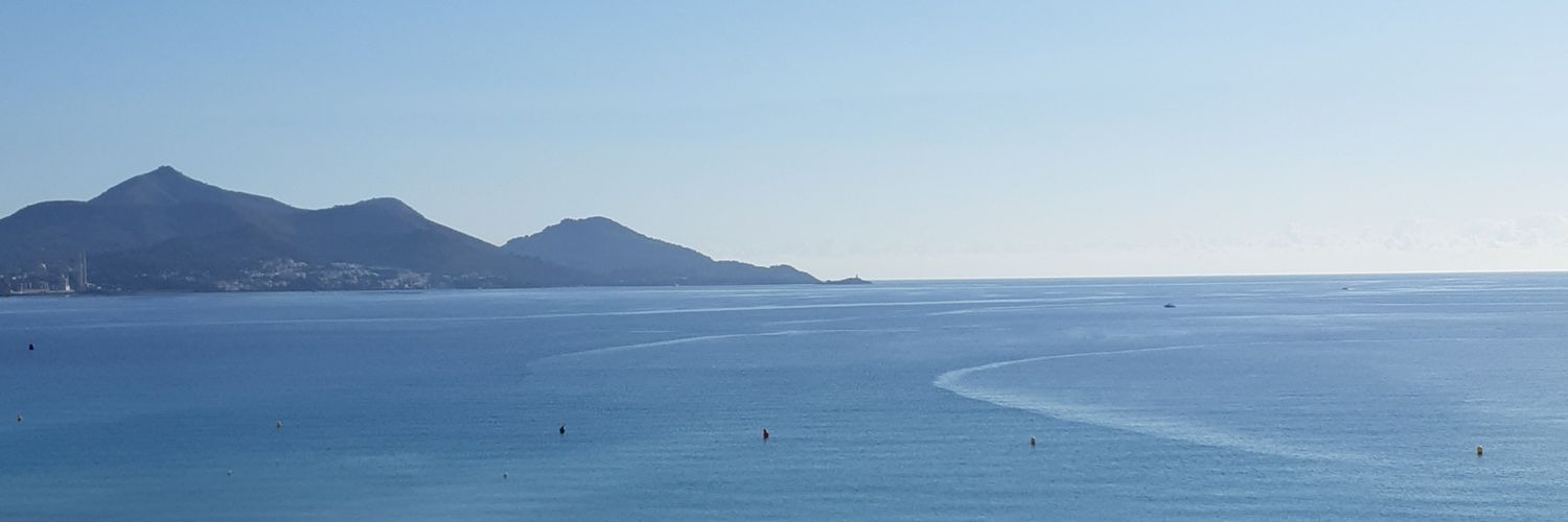 FdoTRguez's profile banner image
