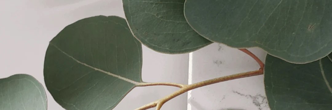 Ashley_Gulla's profile banner image