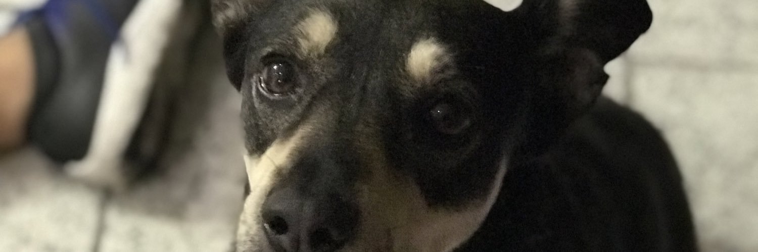 obedpt's profile banner image