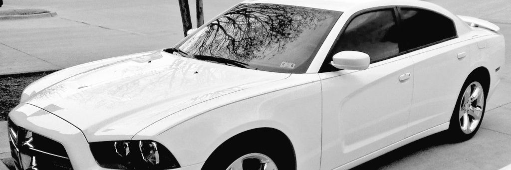 B_Stone__'s profile banner image
