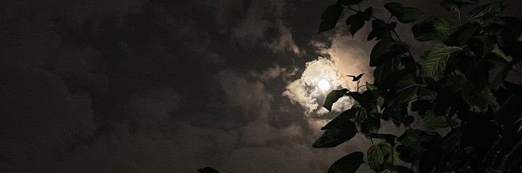 naaay_111's profile banner image