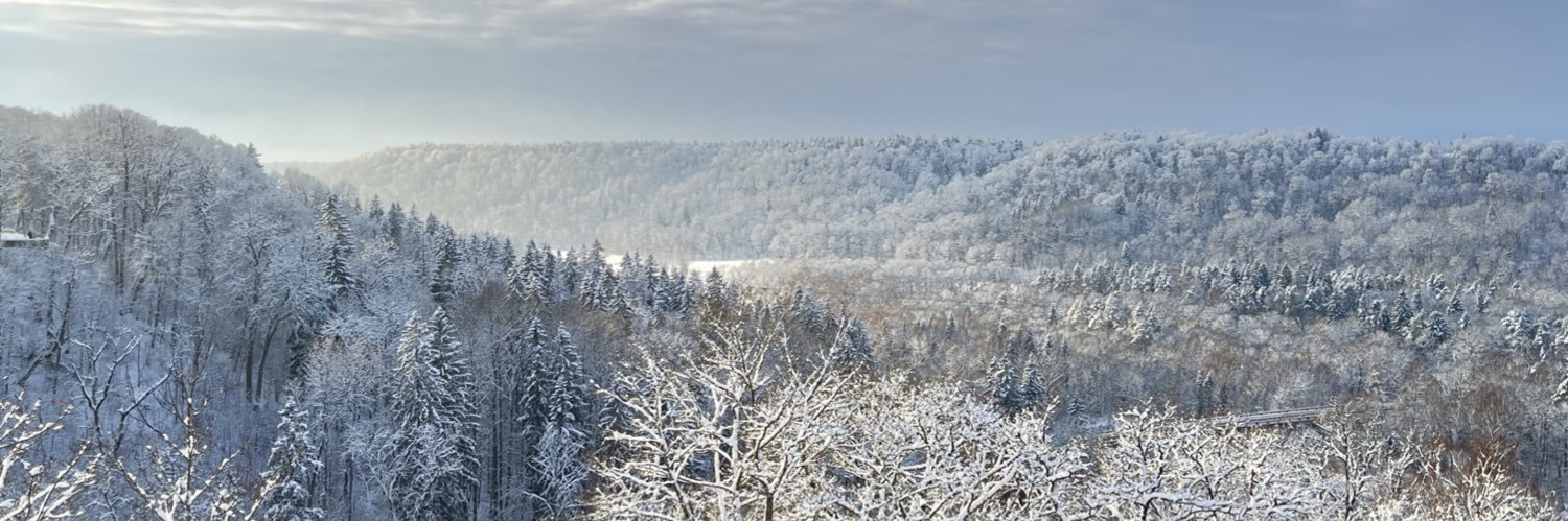 Samuel Minguillón banner