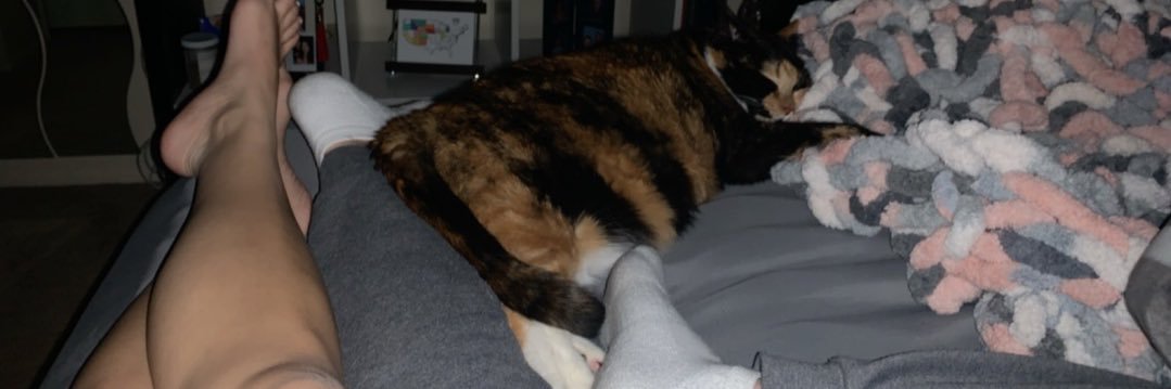 Kayla_MStewart's profile banner image