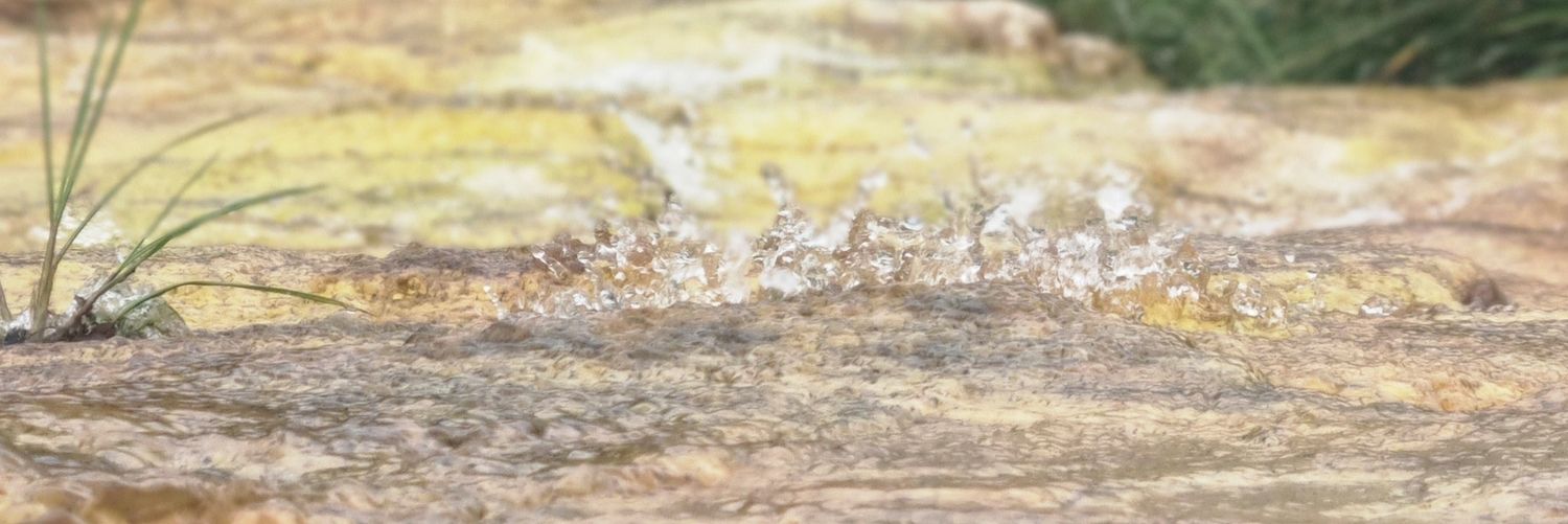 dj_spider's profile banner image