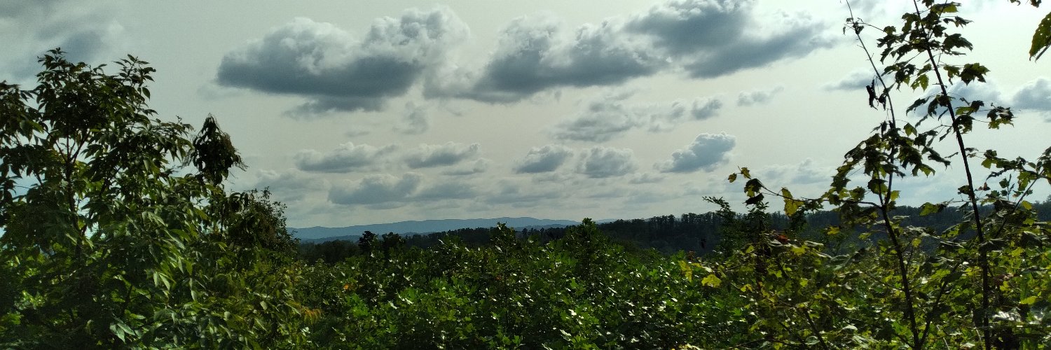 AFreiermuth's profile banner image