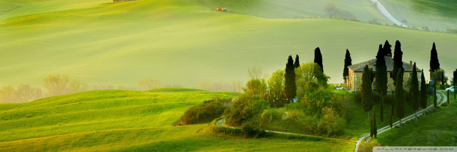Riicky_viital's profile banner image