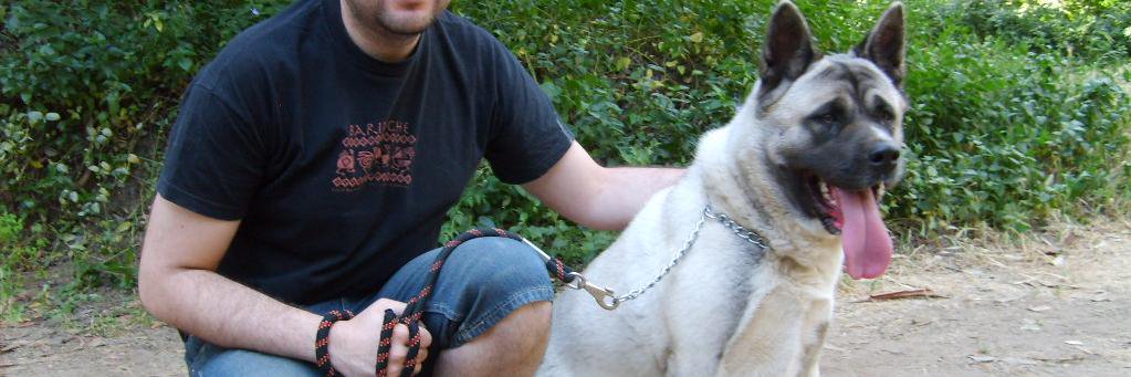 Andrsarancibiaf's profile banner image