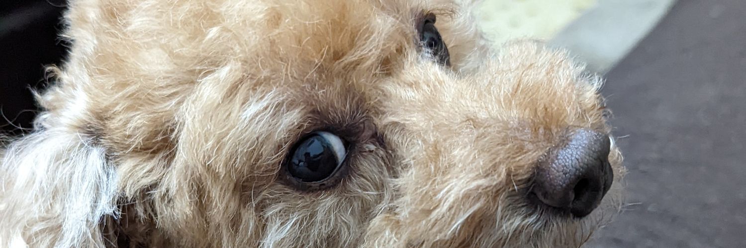 RegEdit PC-119 banner