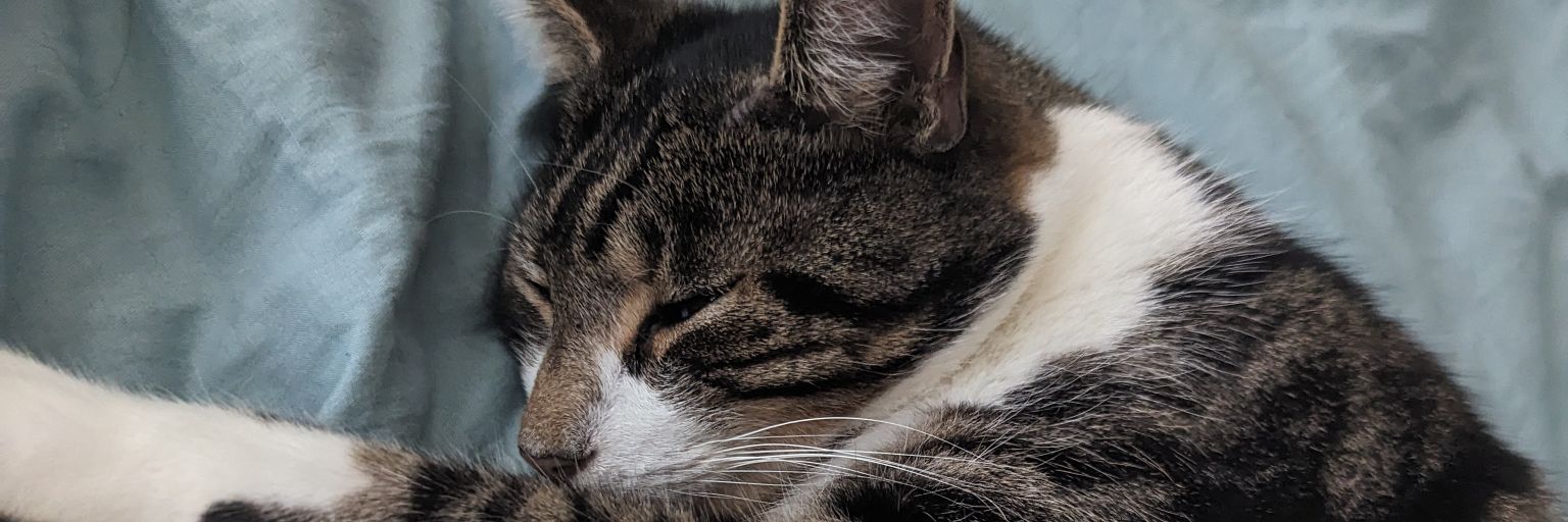zliu0912's profile banner image