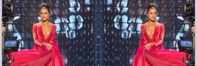 Raye Anne Johnson banner