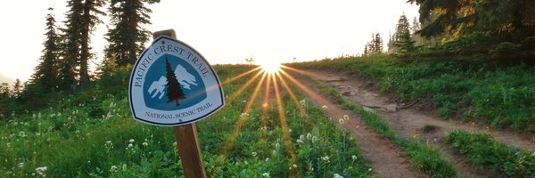 DanLewisNews Profile Banner