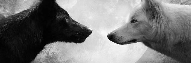 johnnyprofe11's profile banner image