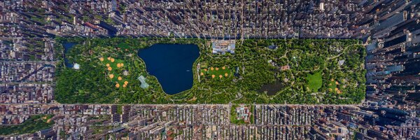 TedGrunewald Profile Banner