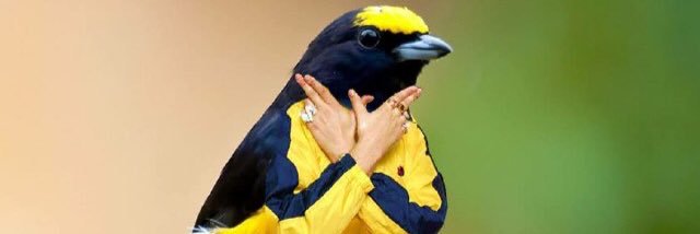 jason_phall's profile banner image