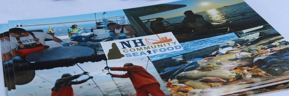 NHCommunityFish's profile banner image