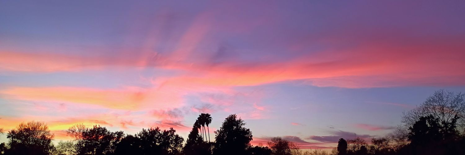 Dudermansion's profile banner image